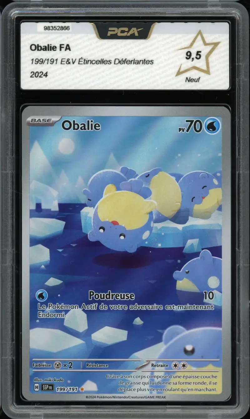 PCA 9.5 Obalie
