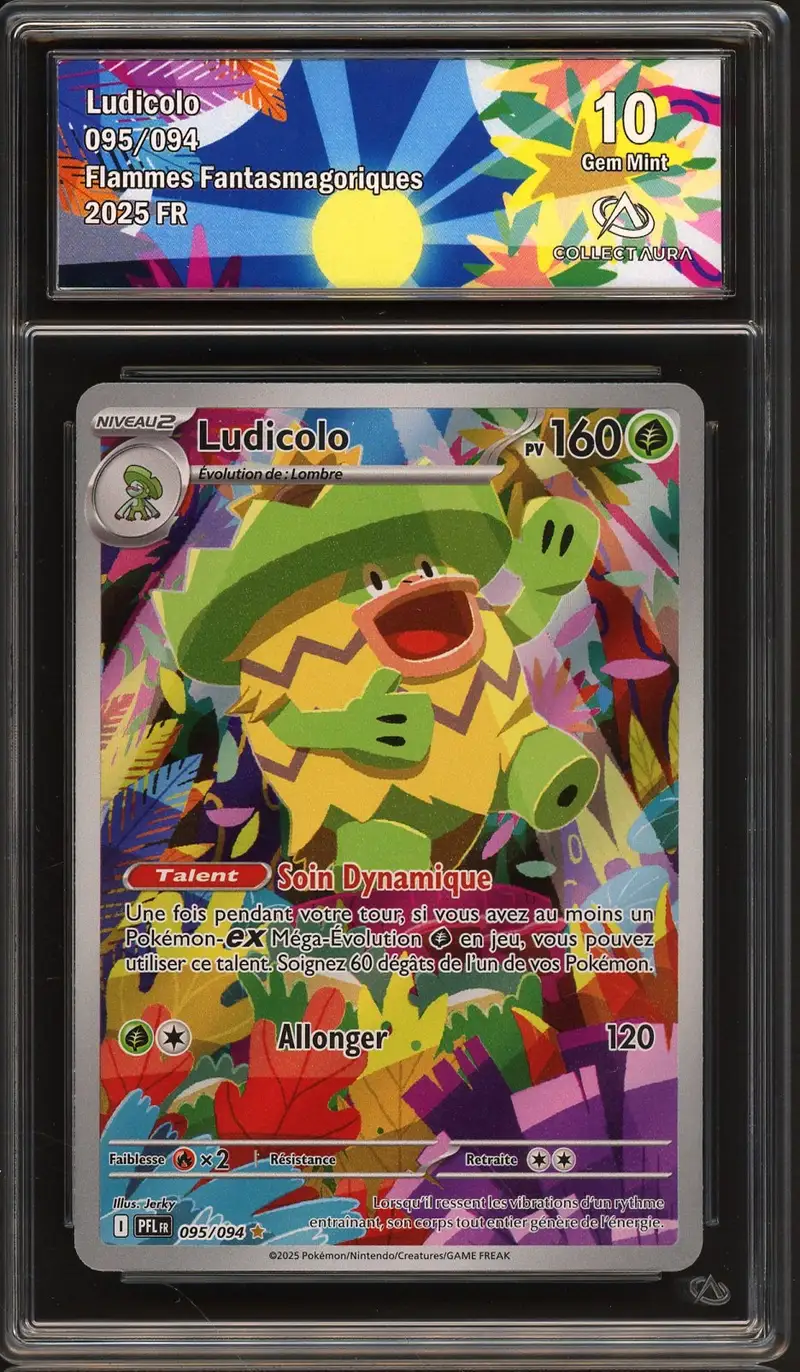 CA 10 Ludicolo