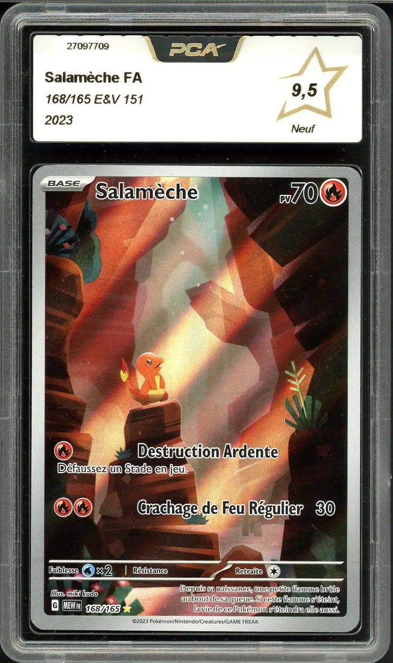PCA 9.5 Salamèche