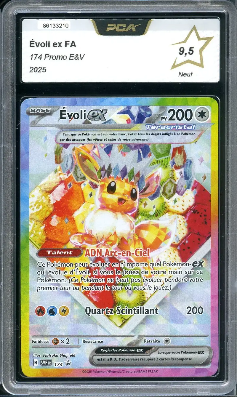 PCA 9.5 Evoli Ex