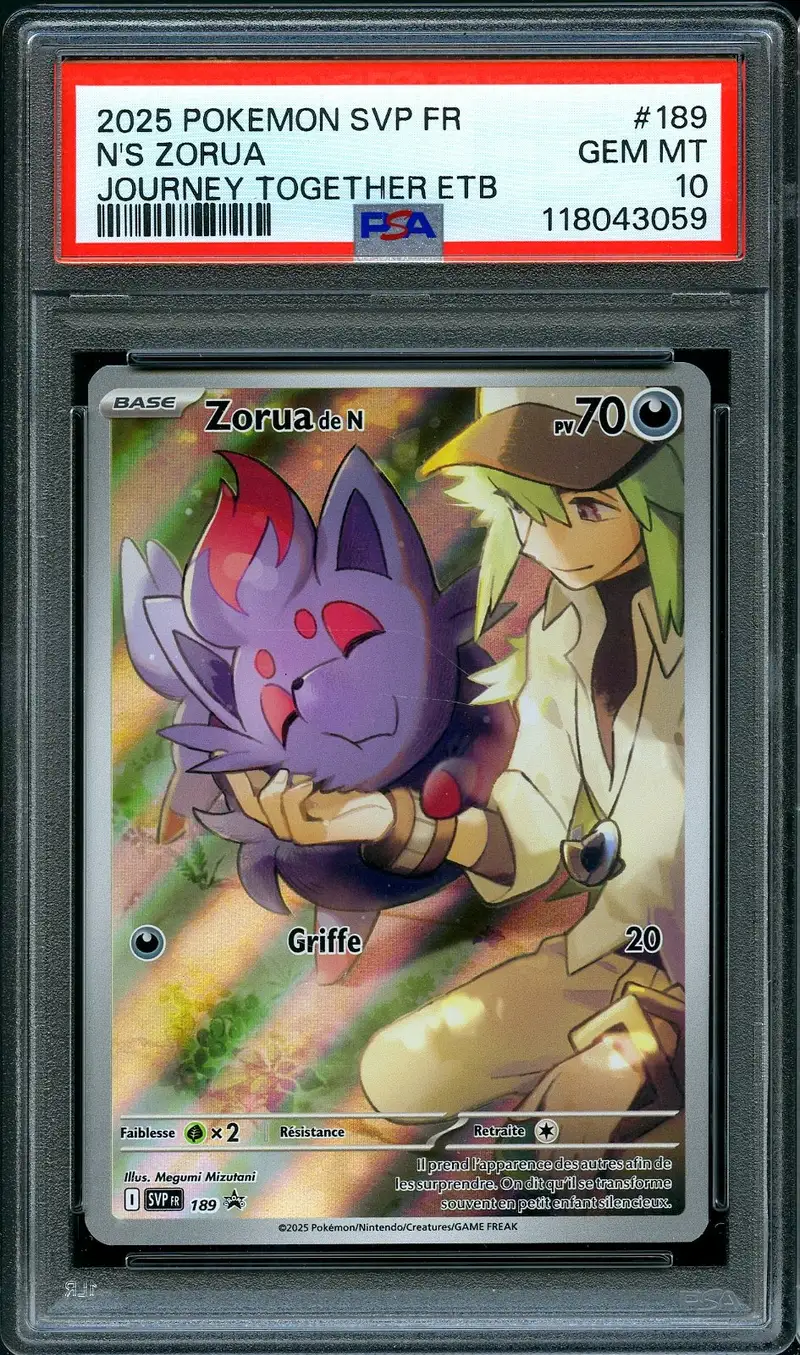 PSA 10 Zorua de N