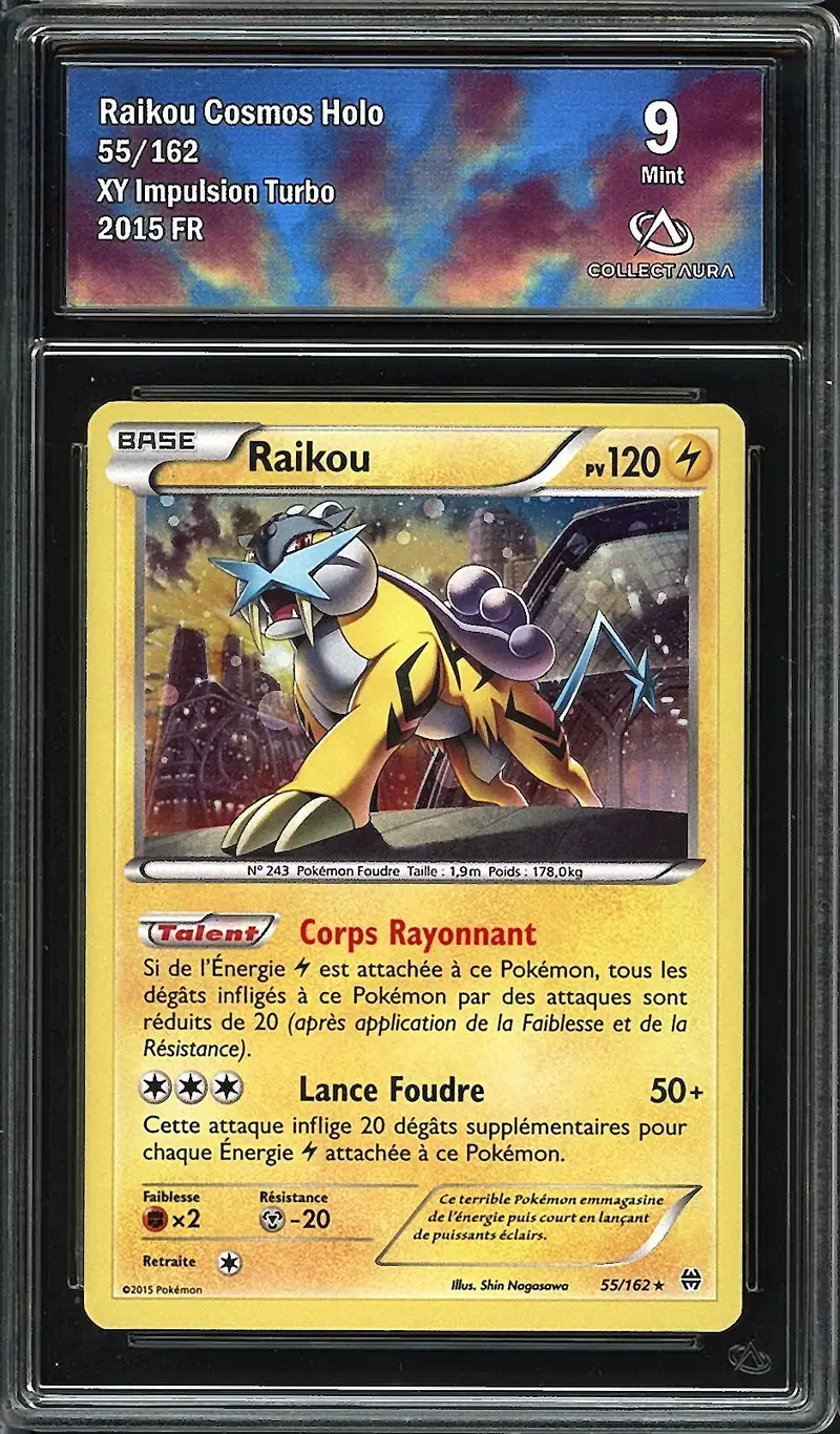 CA 9 Raikou Holo