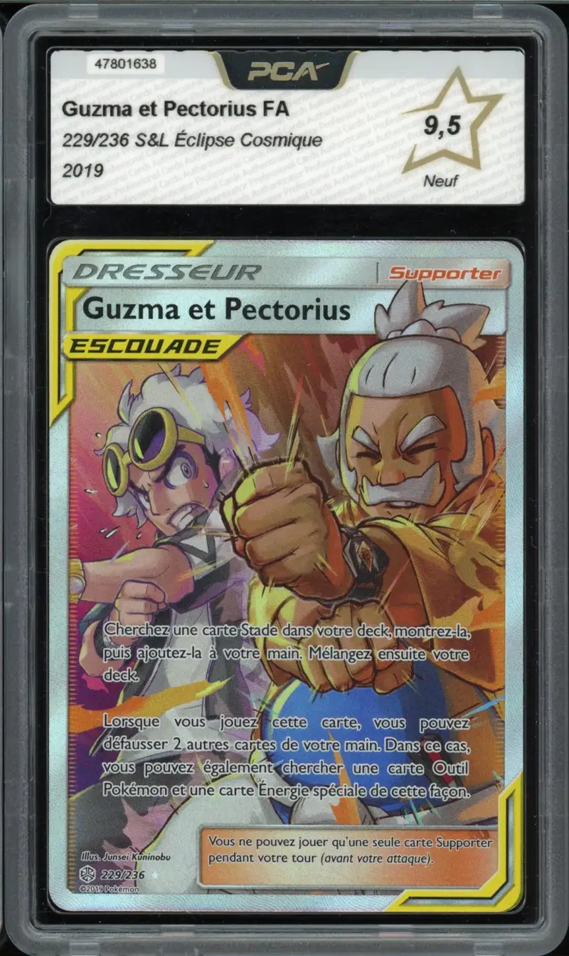PCA 9.5 Guzma et Pectorius