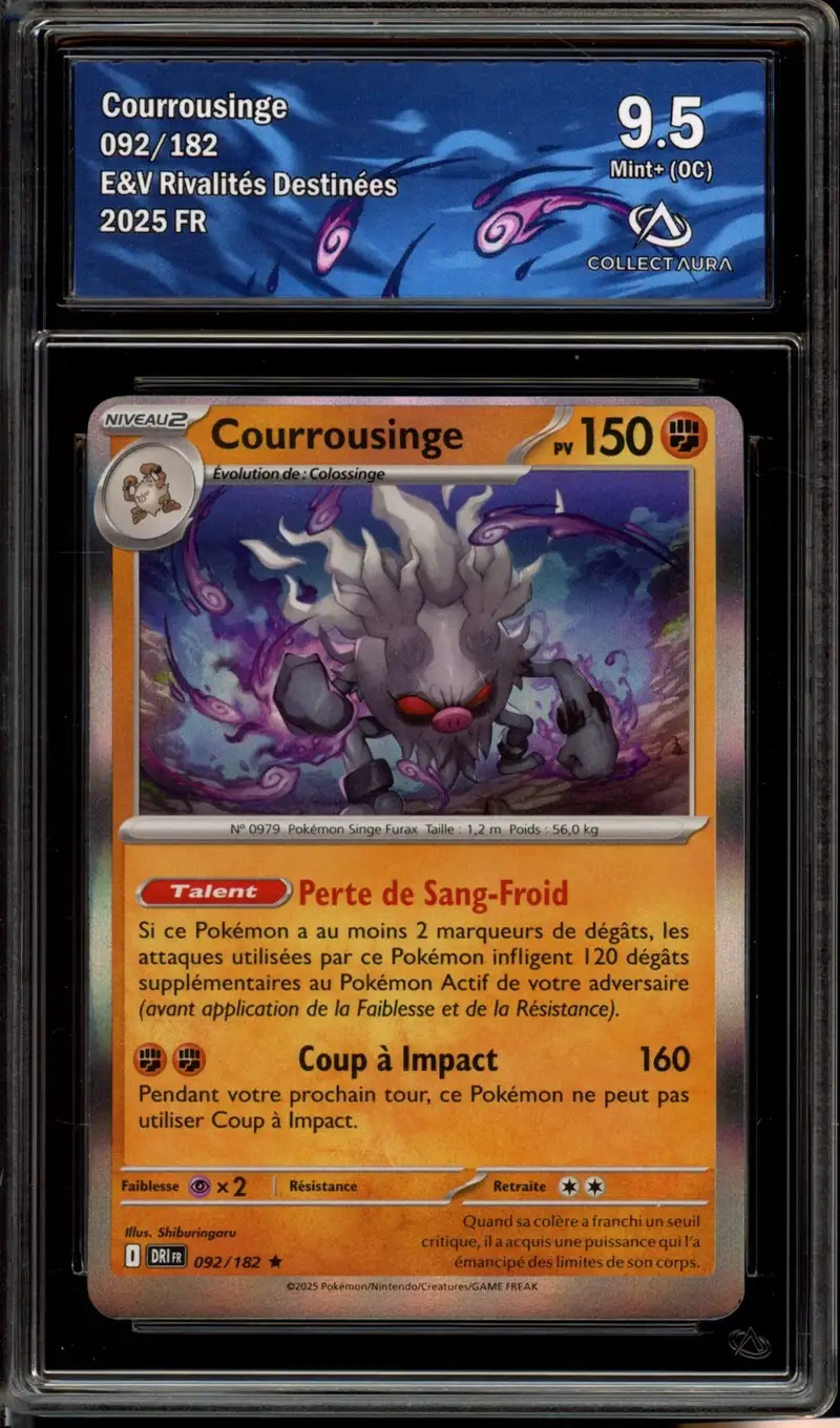 CA 9.5 Courrousinge Holo