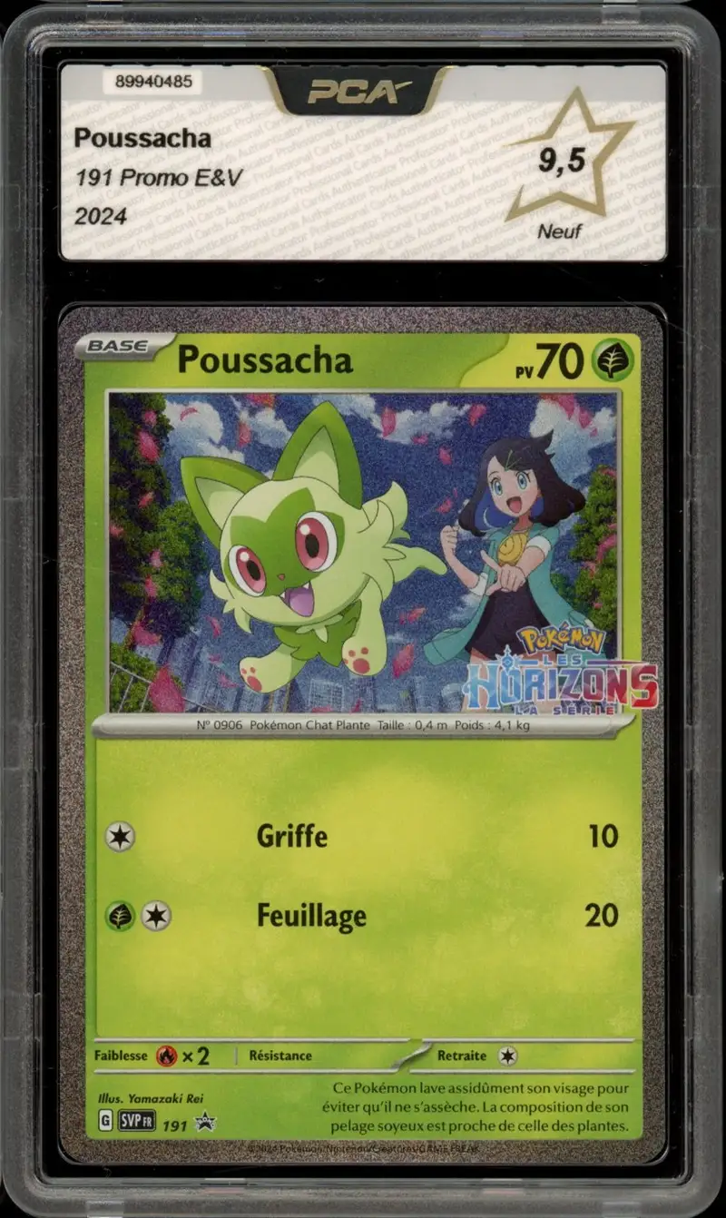 PCA 9.5 Poussacha