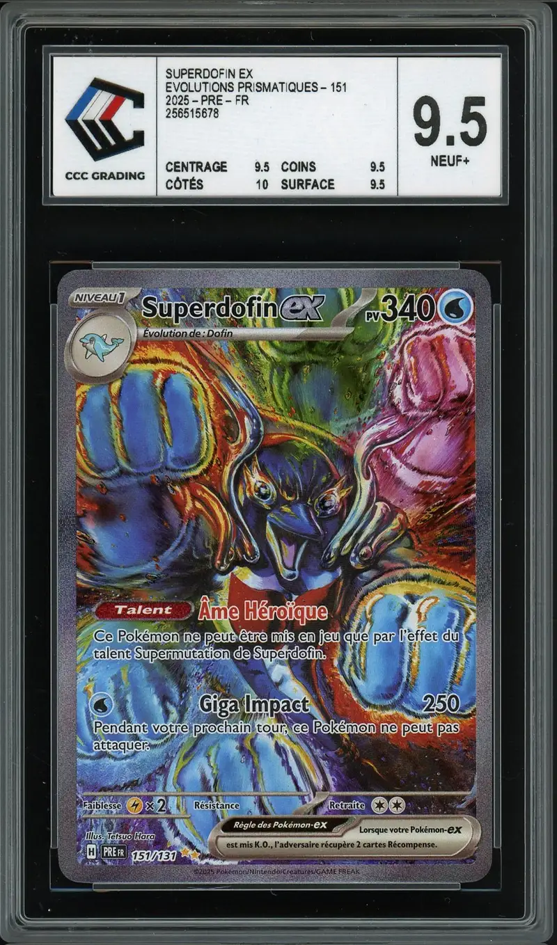 CCC 9.5 Superdofin Ex