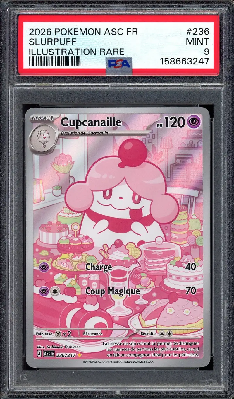 PSA 9 Cupcanaille