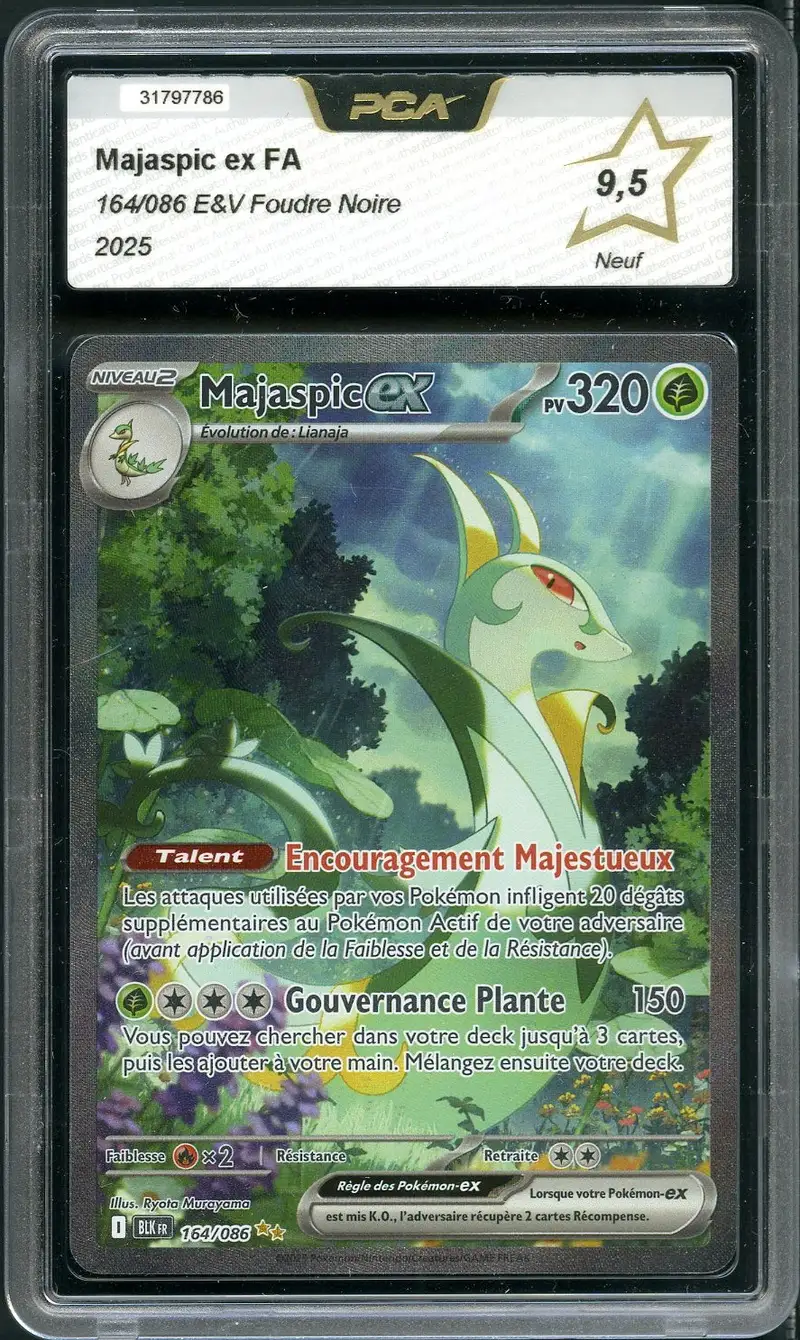PCA 9.5 Majaspic Ex