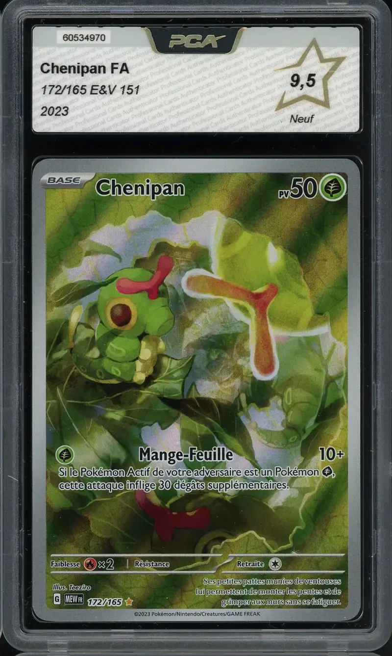 PCA 9.5 Chenipan