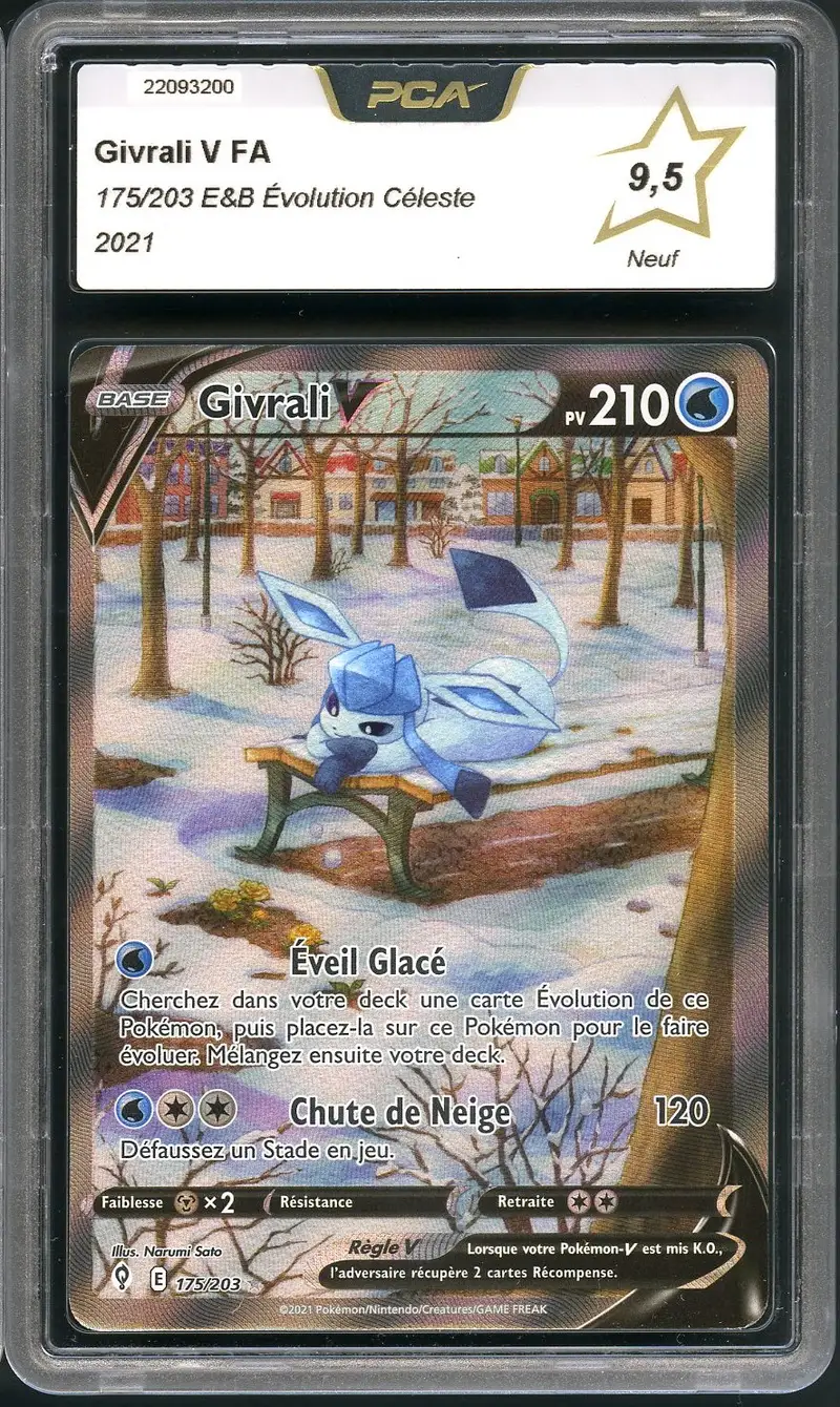 PCA 9.5 Givrali V