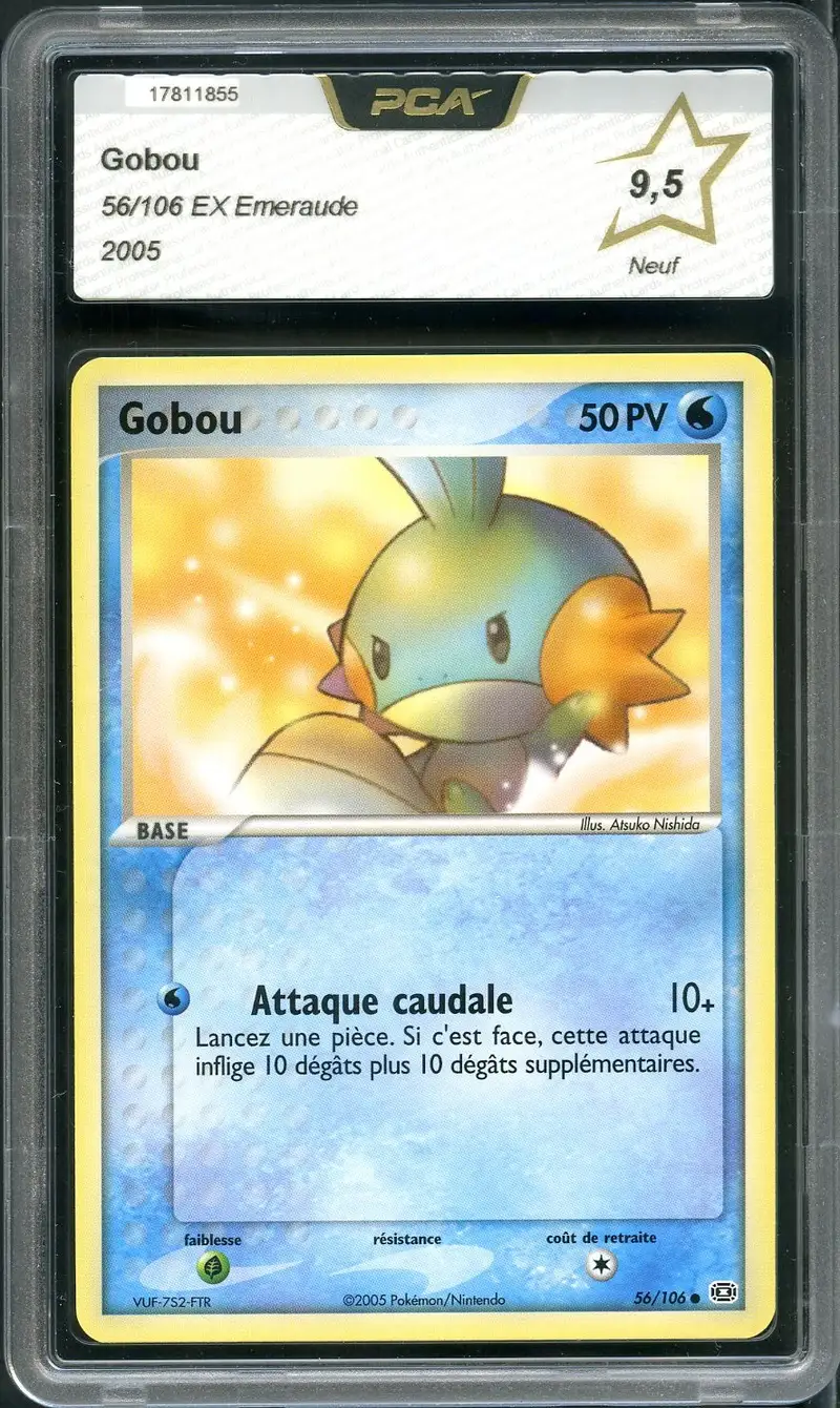 PCA 9.5 Gobou
