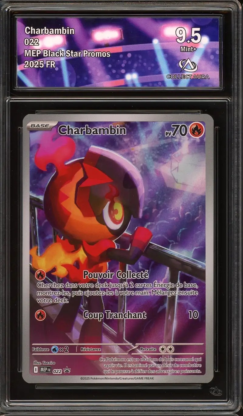 CA 9.5 Charbambin