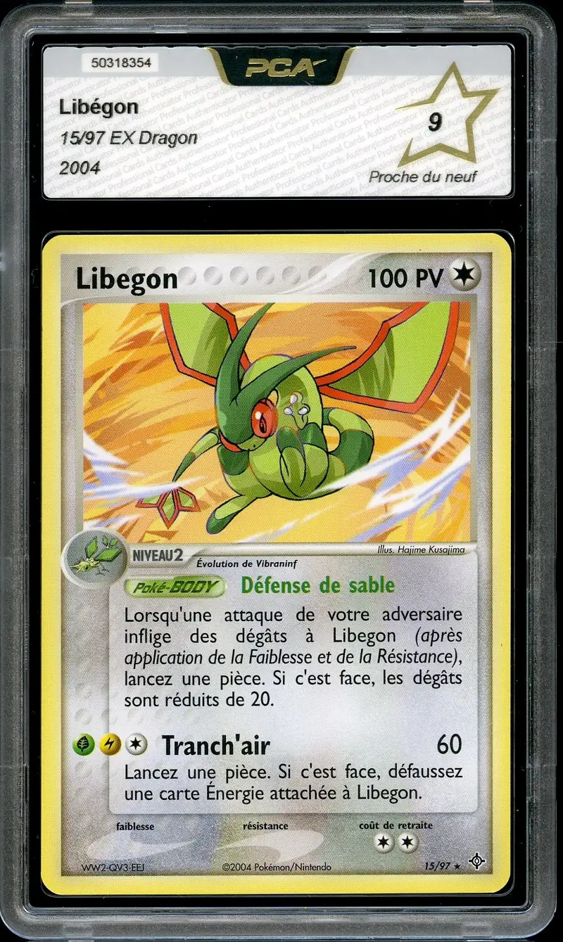 PCA 9 Libegon