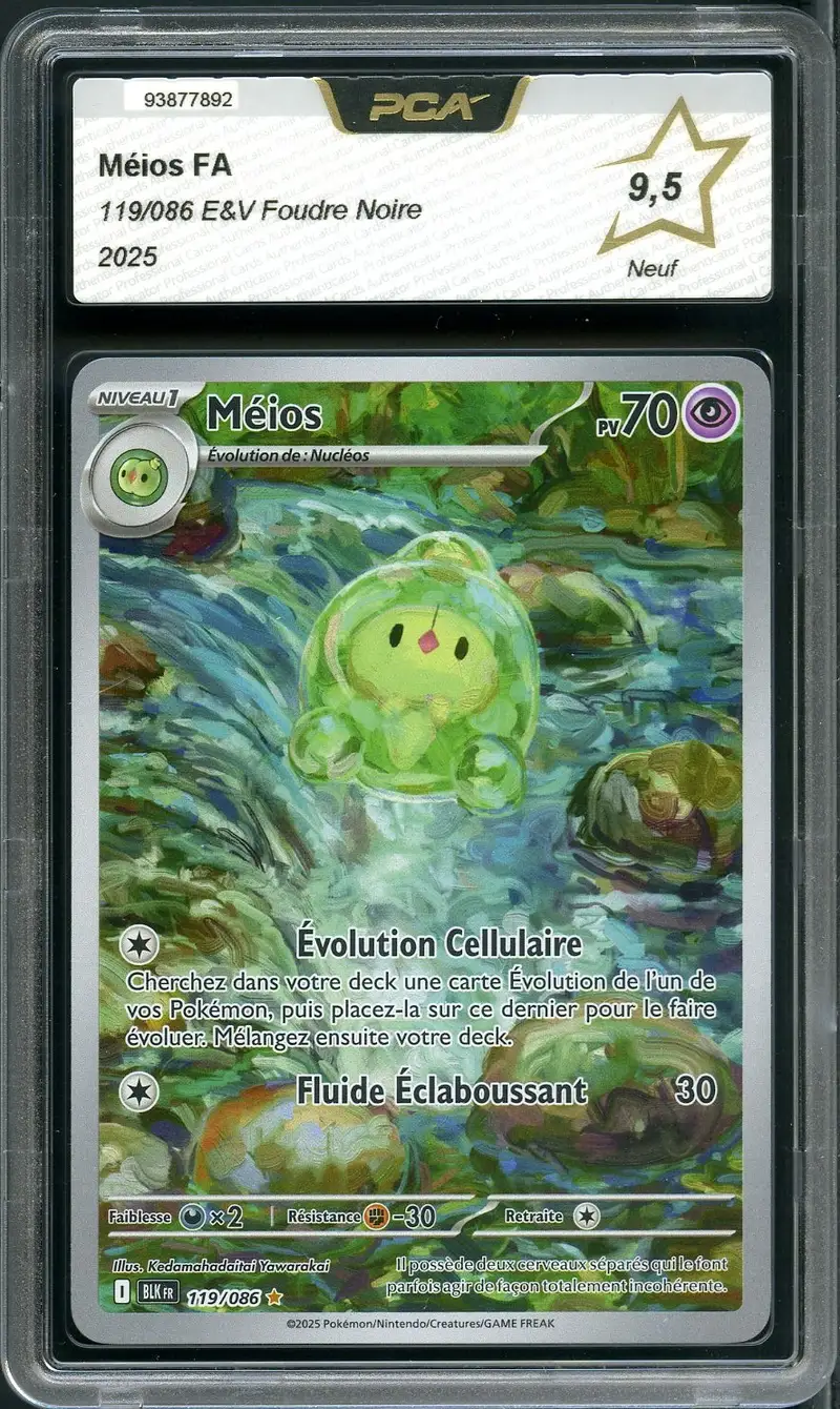 PCA 9.5 Méios