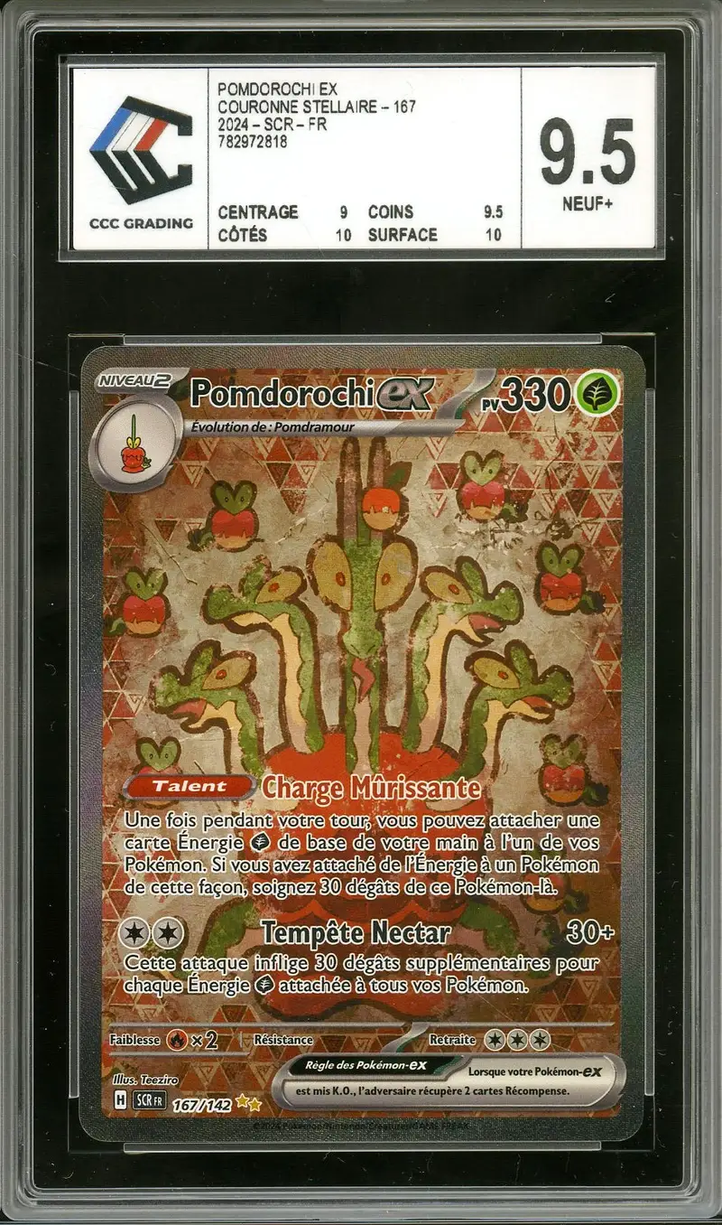 CCC 9.5 Pomdorochi Ex