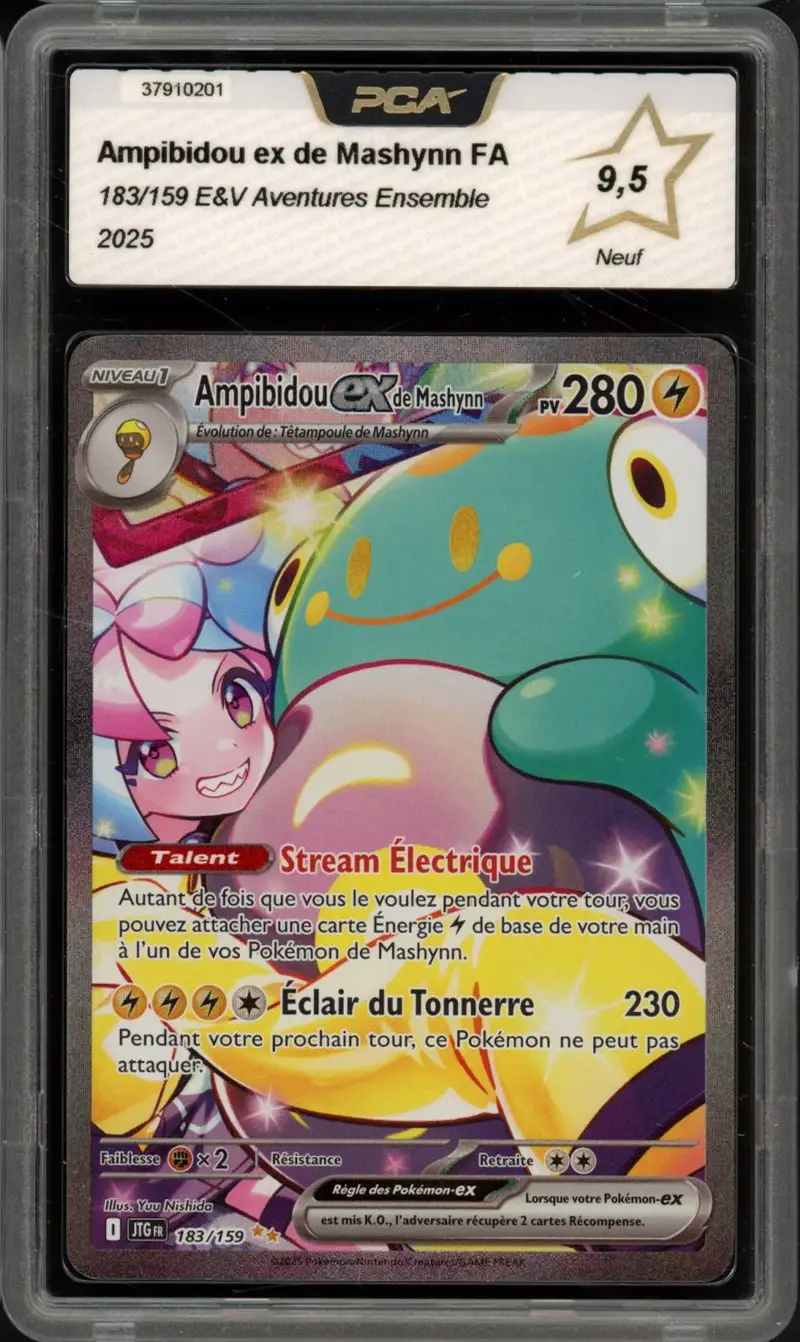 PCA 9.5 Ampibidou Ex de Mashynn