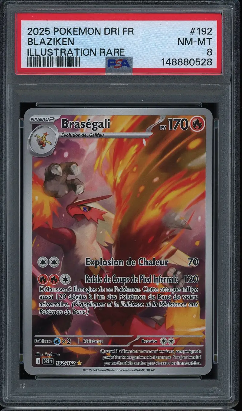 PSA 8 Braségali