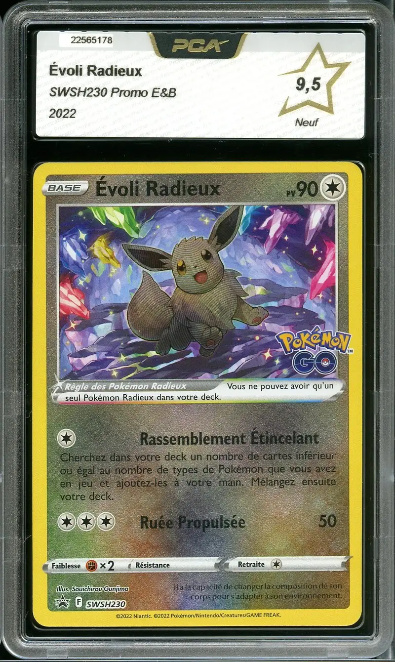PCA 9.5 Evoli Radieux