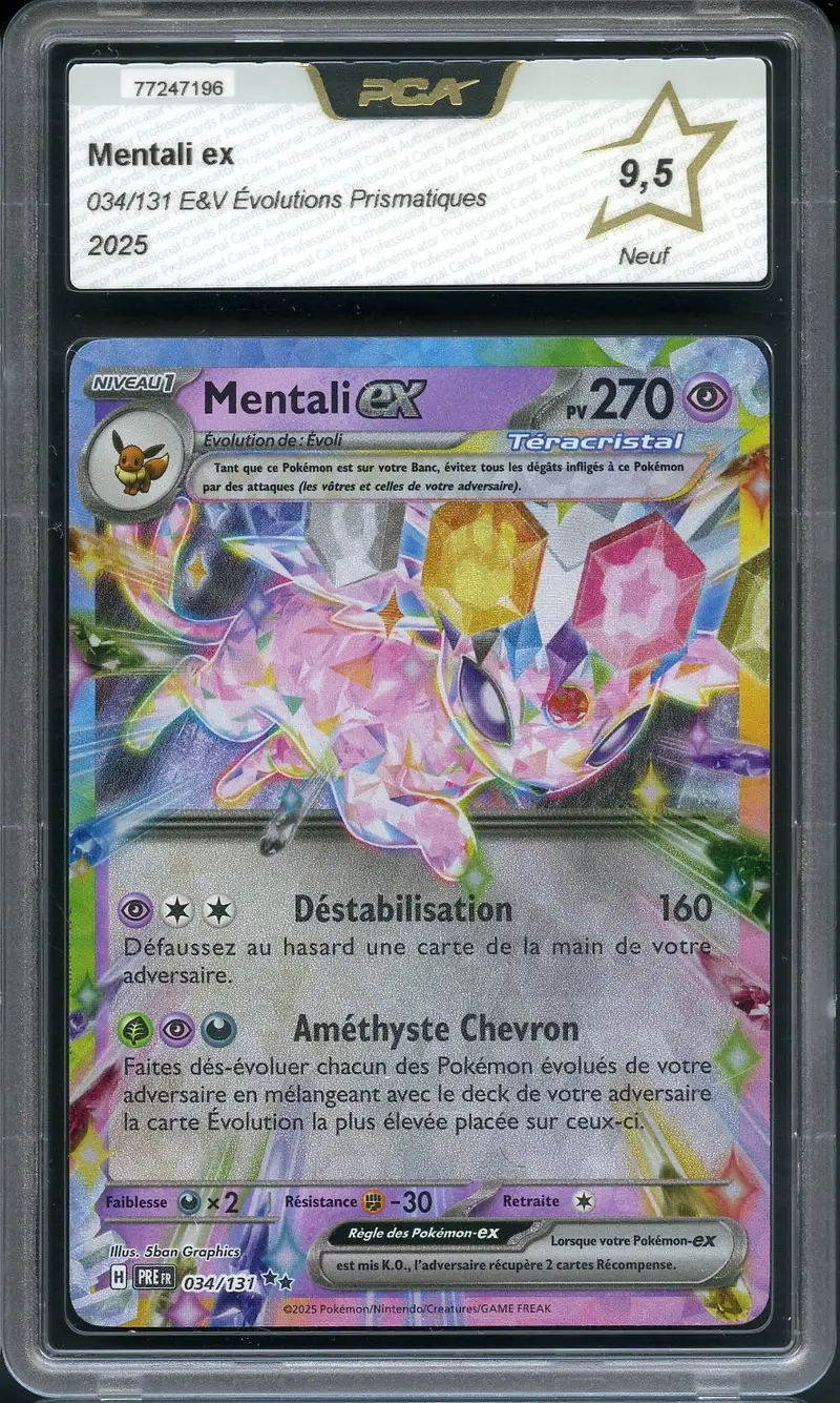 PCA 9.5 Mentali Ex