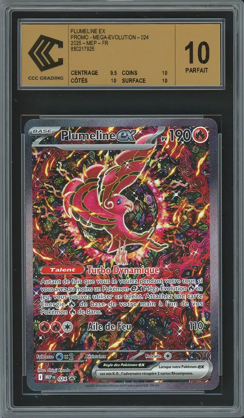 CCC 10 Plumeline Ex