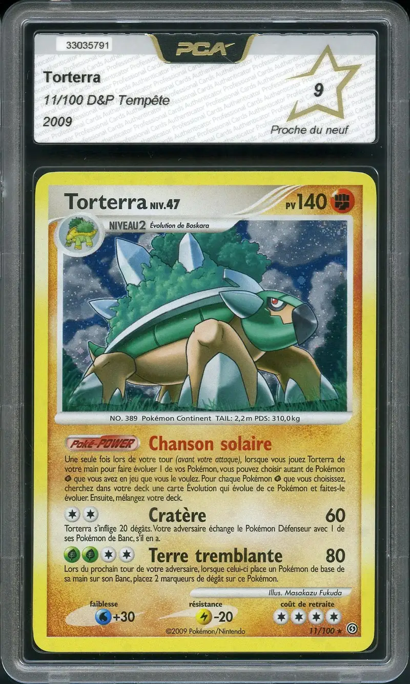 PCA 9 Torterra Holo