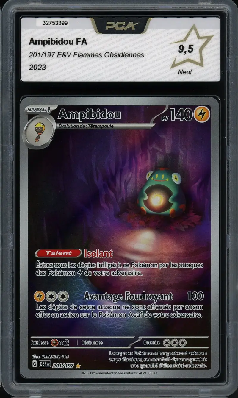 PCA 9.5 Ampibidou