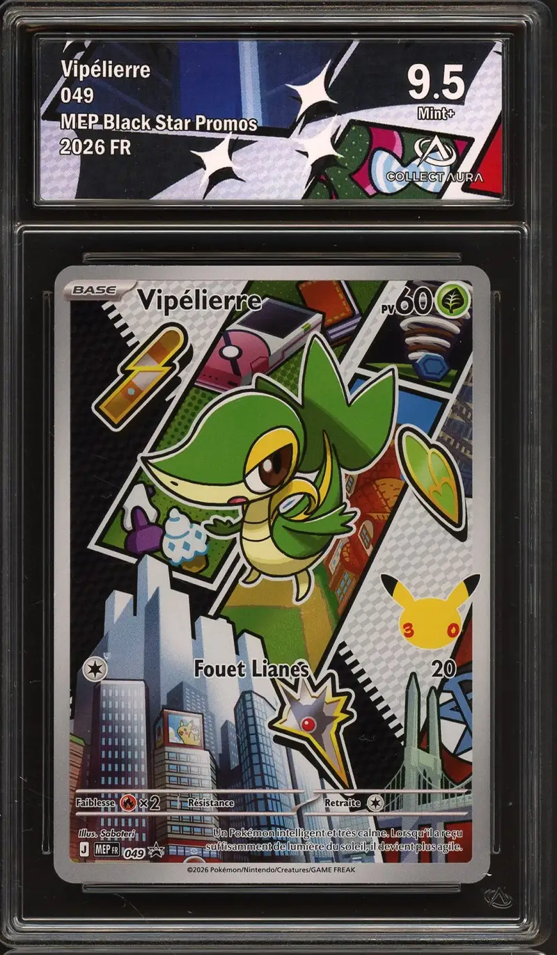 CA 9.5 Vipélierre