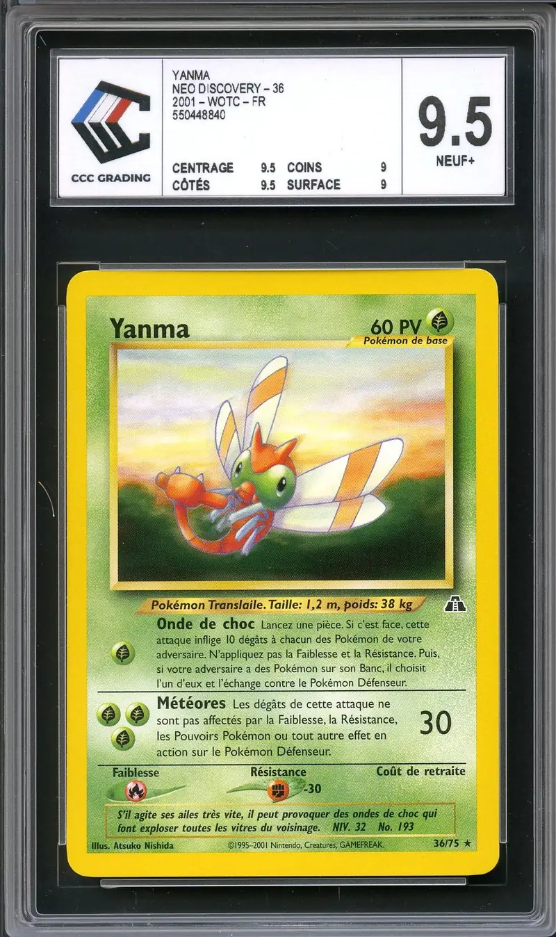 CCC 9.5 Yanma