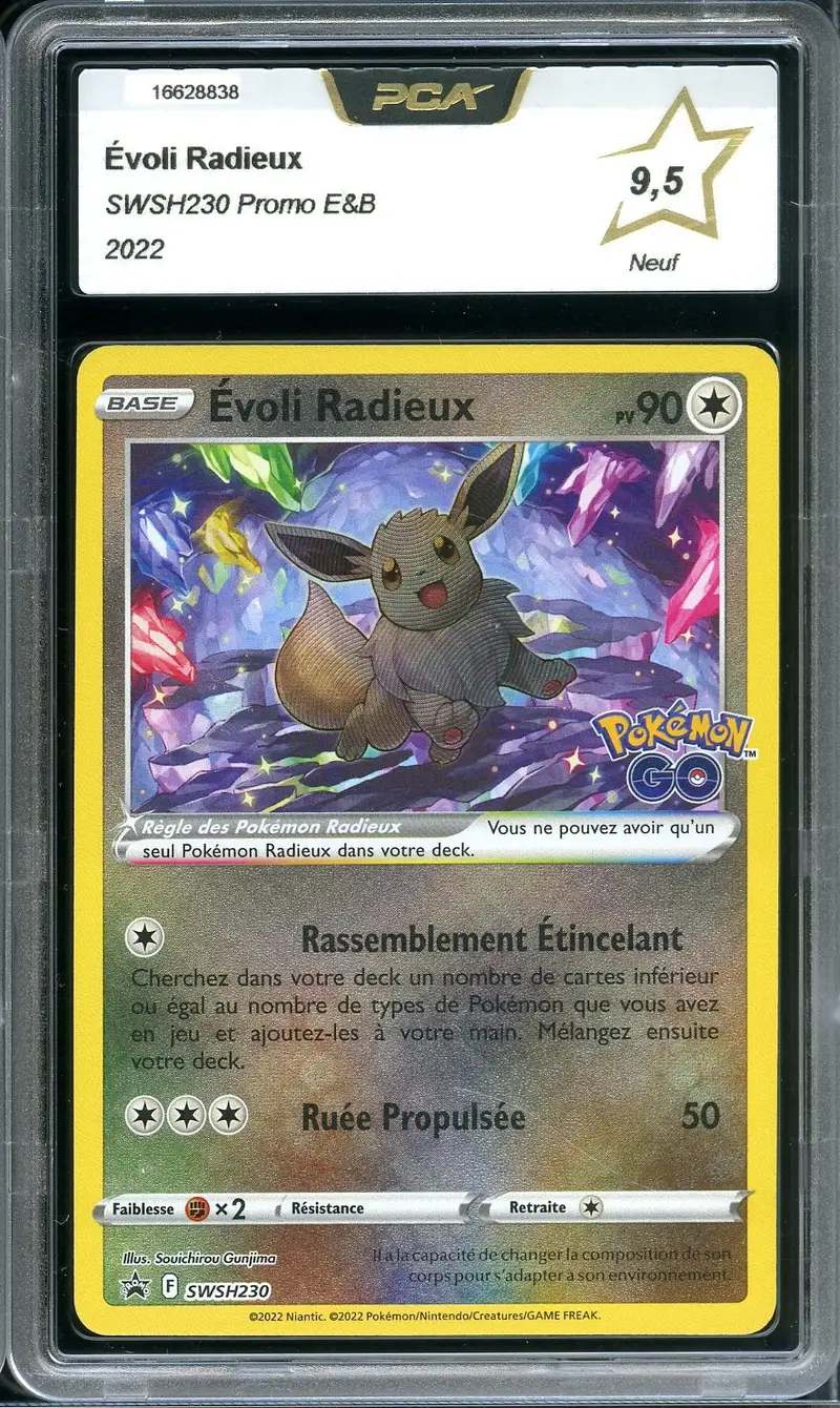 PCA 9.5 Evoli Radieux