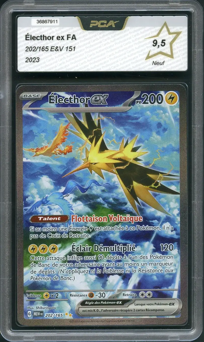 PCA 9.5 Electhor Ex