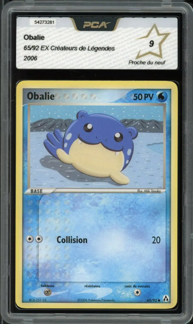 PCA 9 Obalie