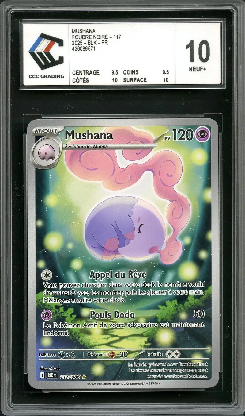 CCC 10 Mushana