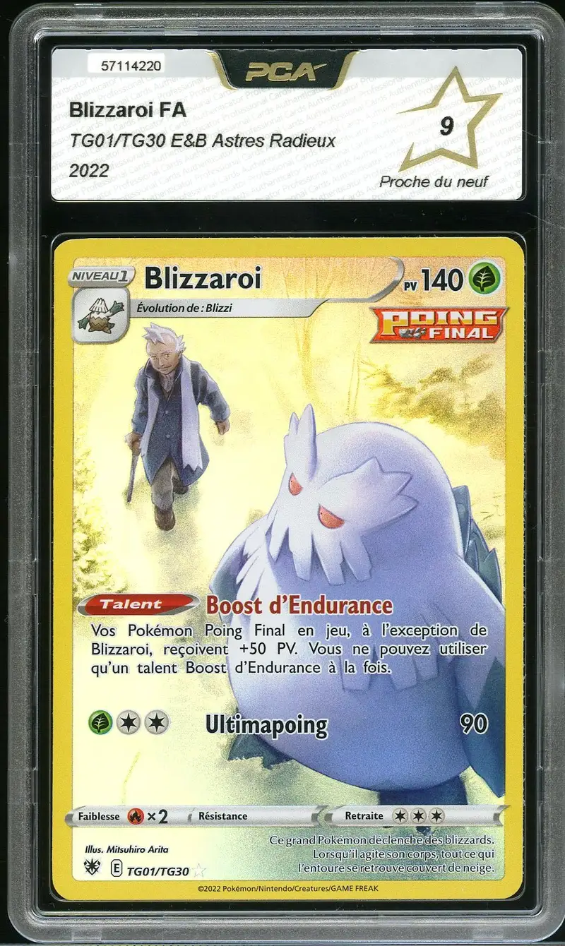 PCA 9 Blizzaroi