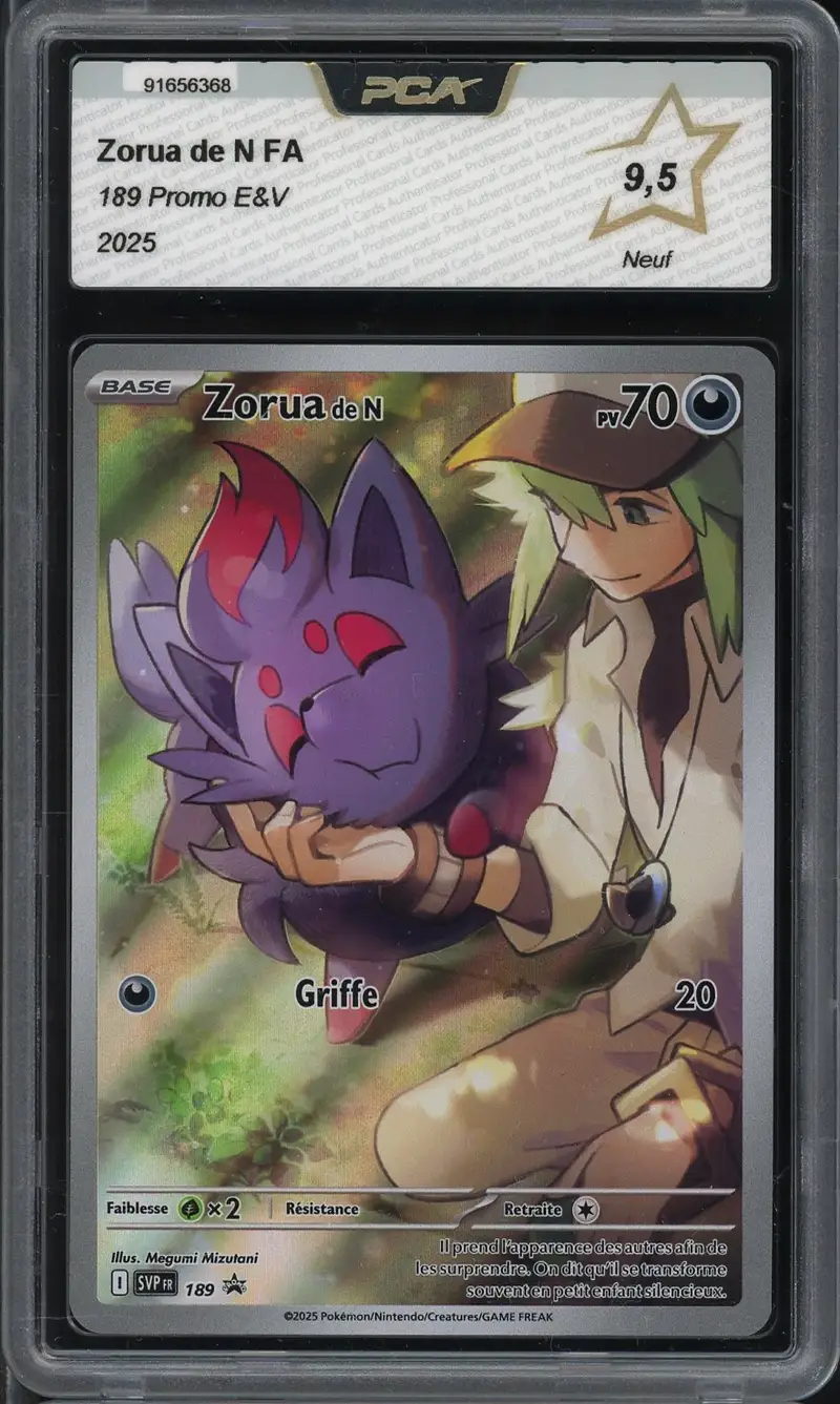 PCA 9.5 Zorua de N