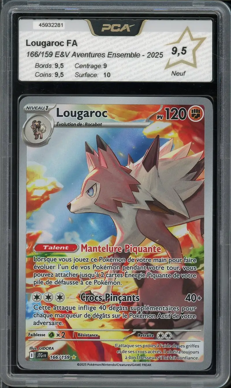 PCA 9.5 Lougaroc