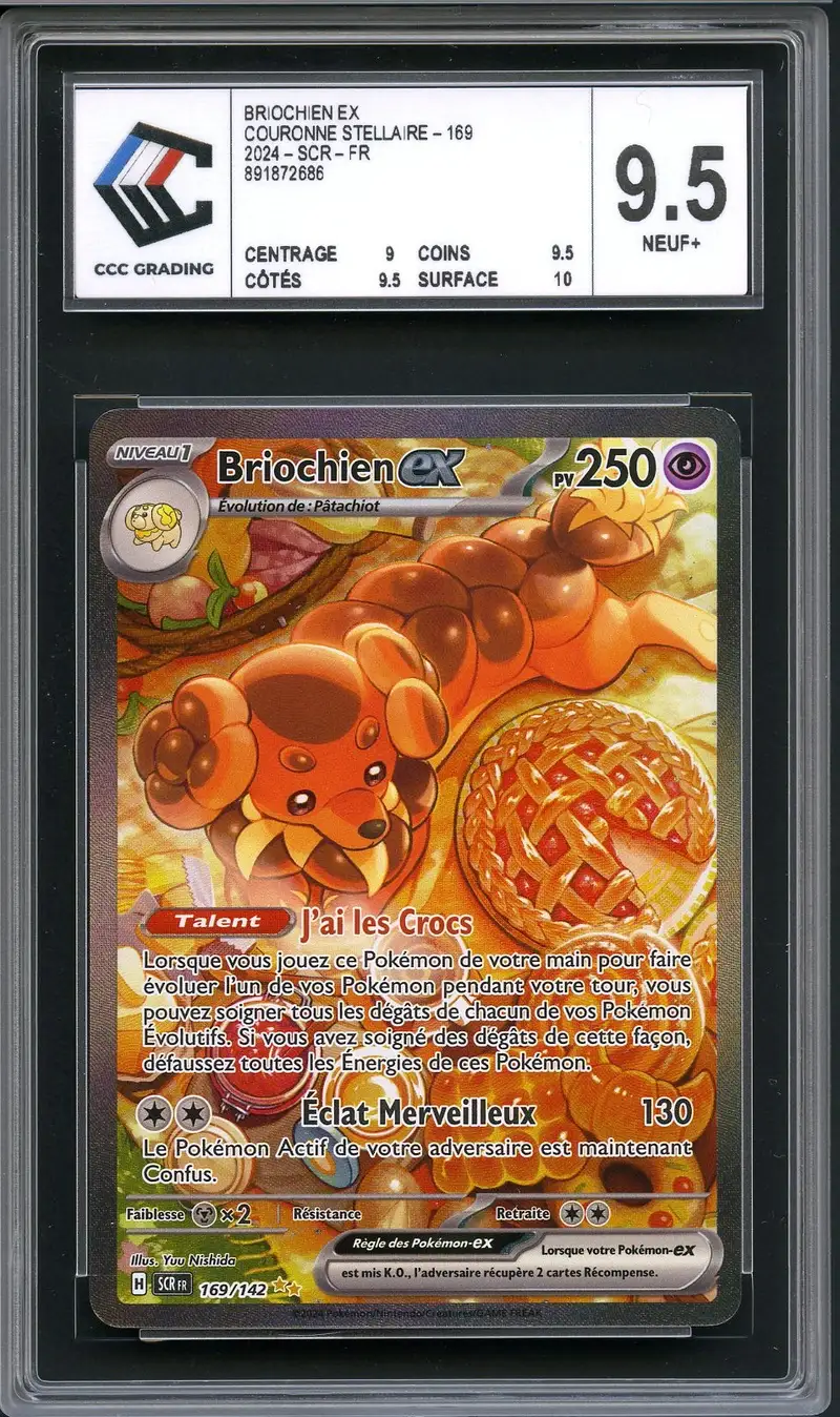 CCC 9.5 Briochien Ex