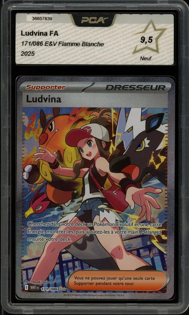 PCA 9.5 Ludvina