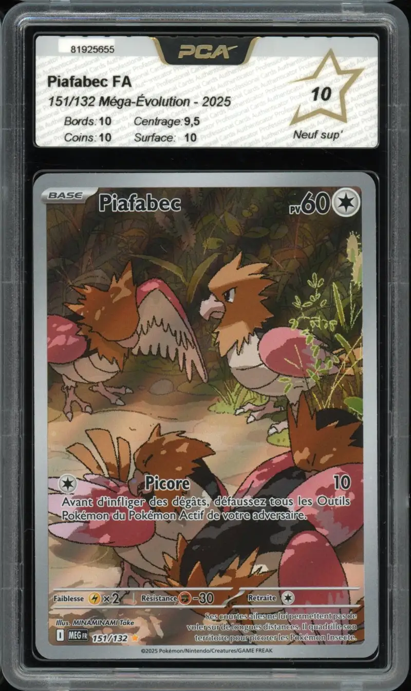 PCA 10 Piafabec
