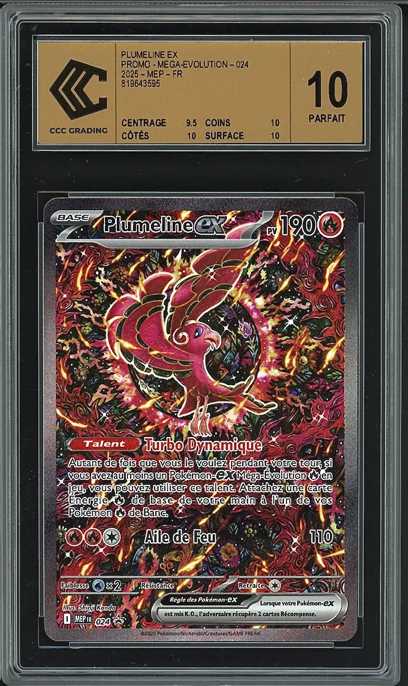 CCC 10 Plumeline Ex