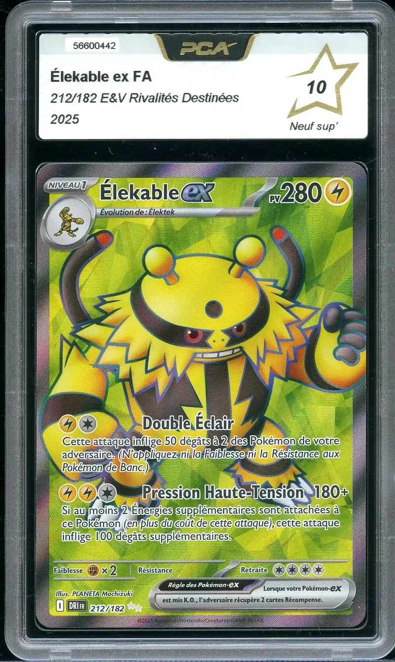 PCA 10 Élekable Ex
