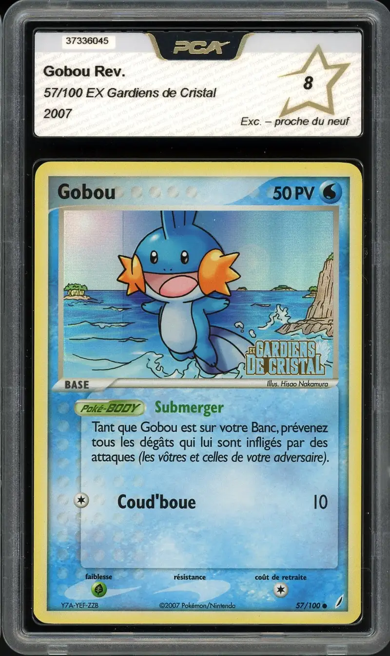 PCA 8 Gobou Reverse