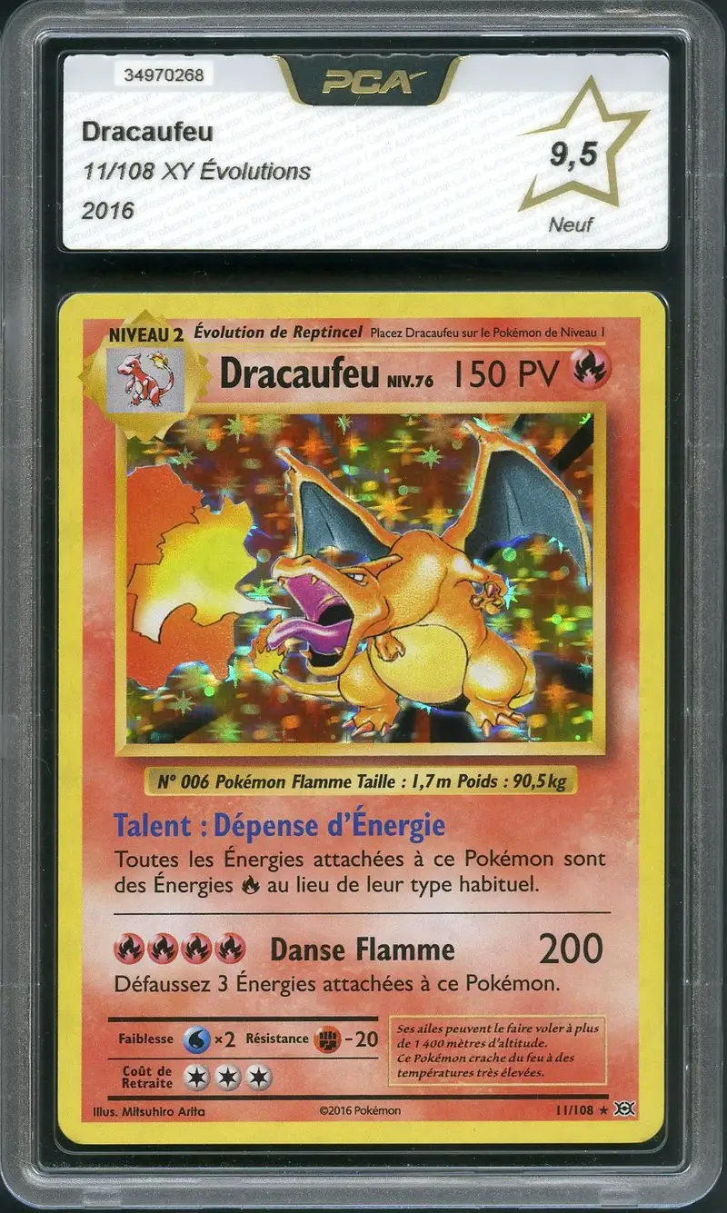 PCA 9.5 Dracaufeu Holo