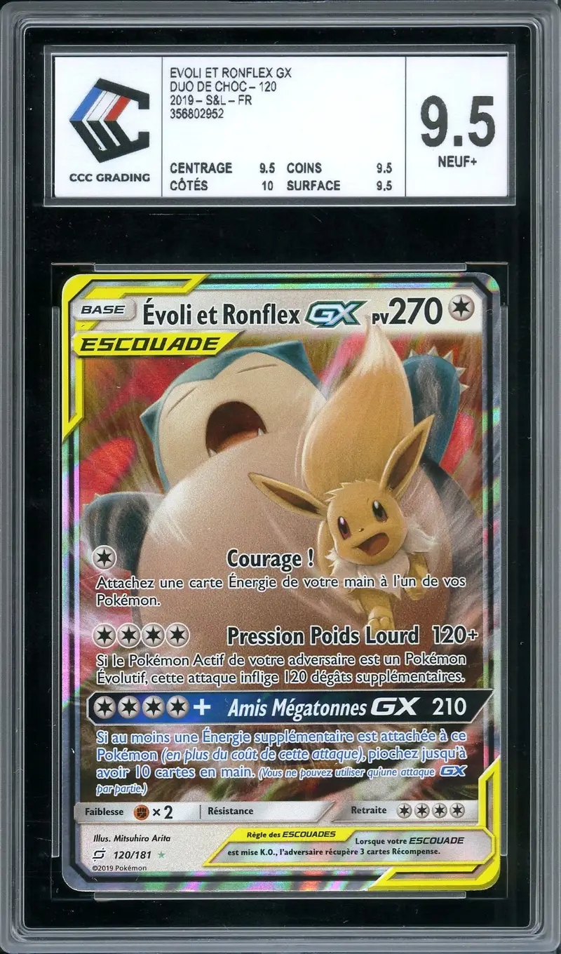 CCC 9.5 Evoli et Ronflex Gx