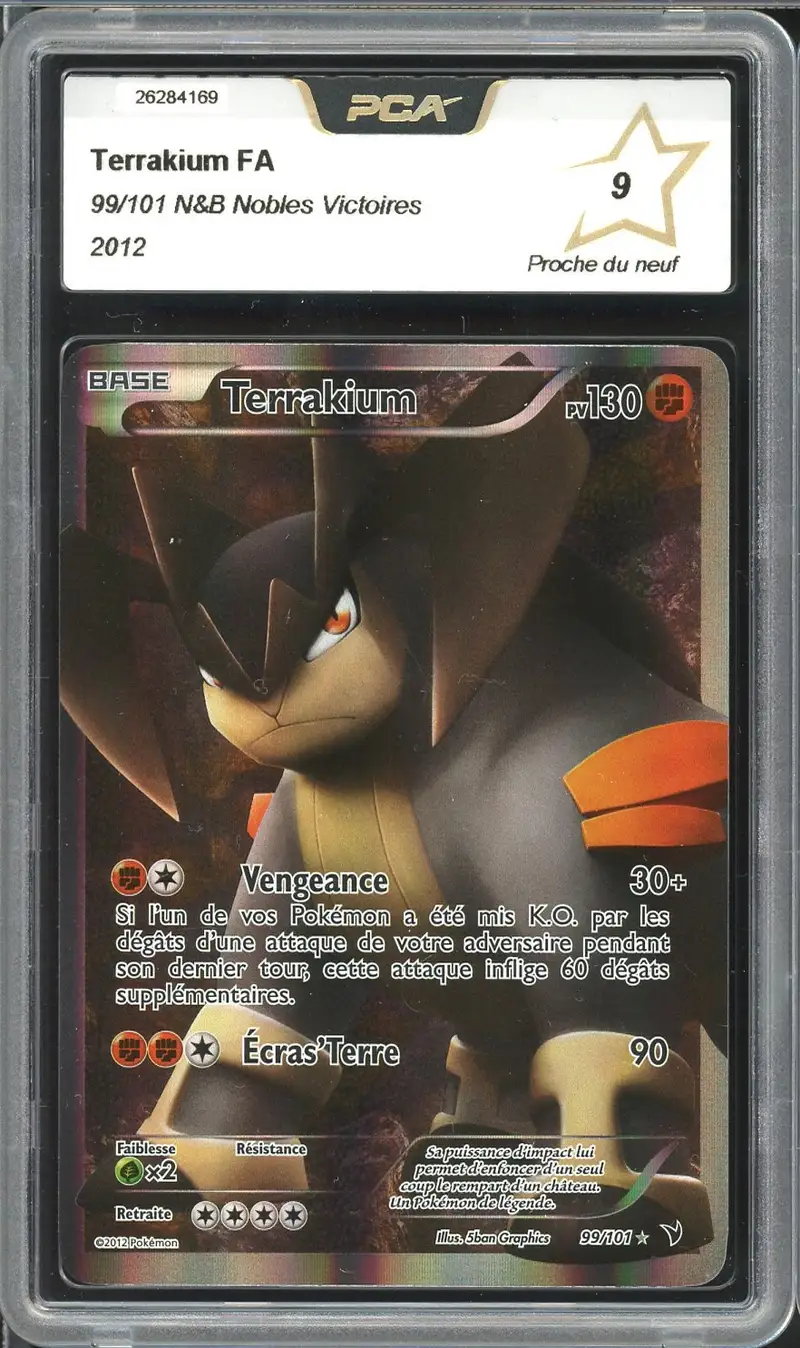 PCA 9 Terrakium