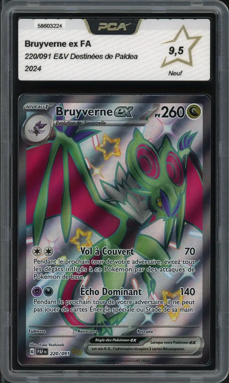 PCA 9.5 Bruyverne Ex Shiny