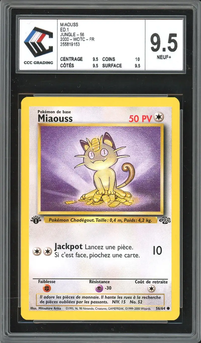 CCC 9.5 Miaouss