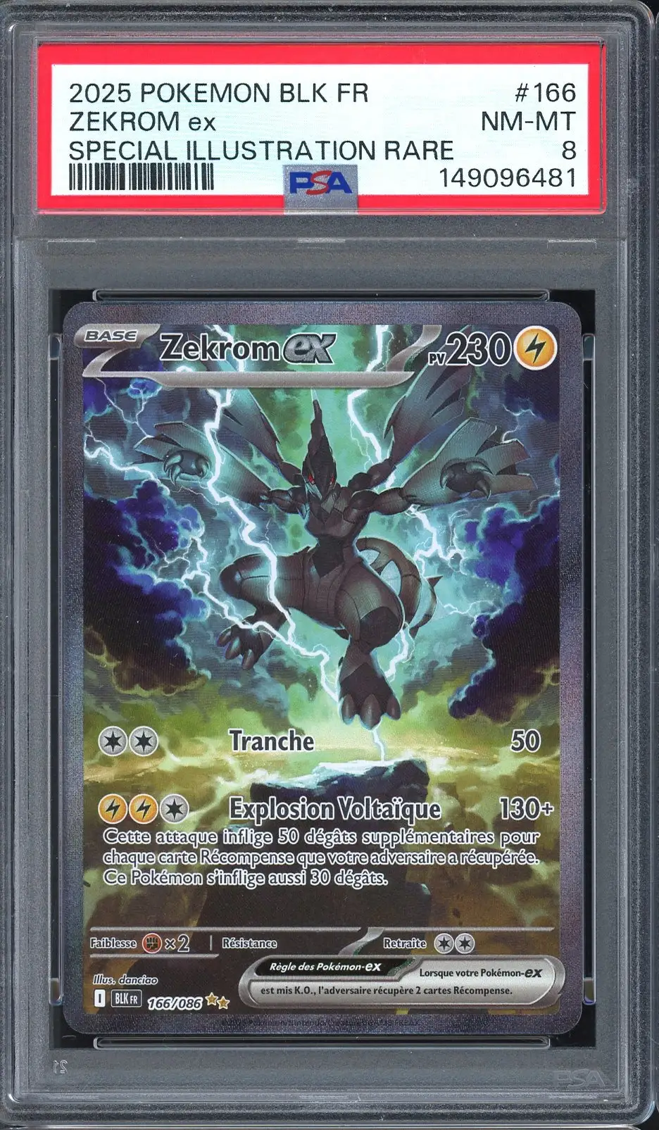 PSA 10 Zekrom