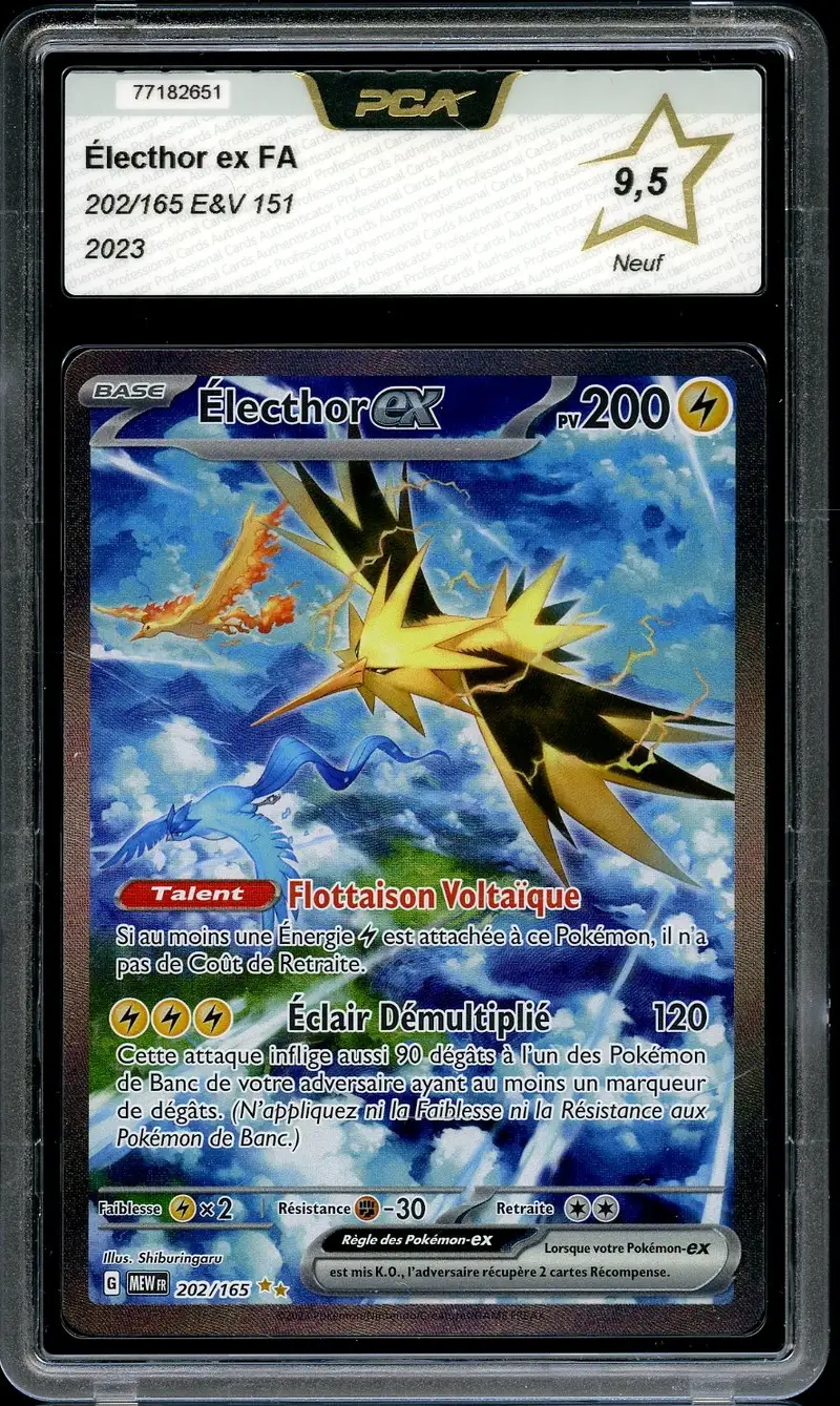 PCA 9.5 Electhor Ex