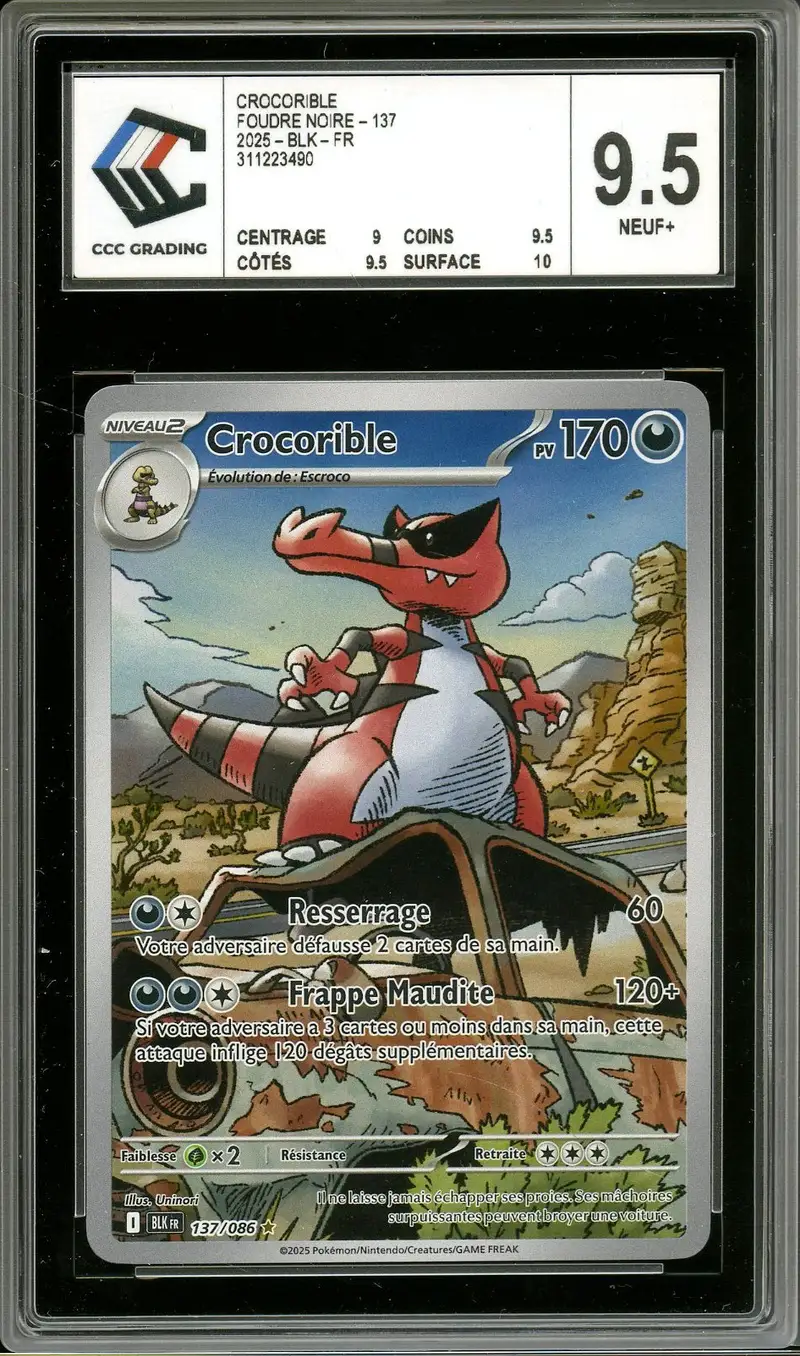 CCC 9.5 Crocorible