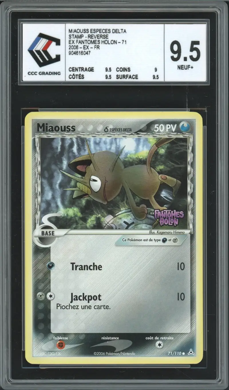 CCC 9.5 Miaouss Reverse